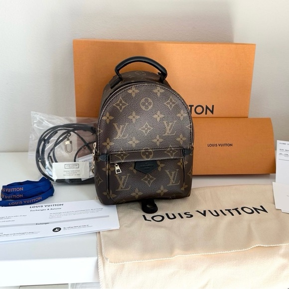 Louis Vuitton Palm Springs Mini - Picture 1 of 5